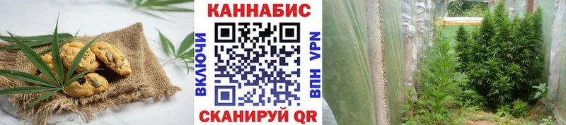 Купить где  Нытва  Cannafood конопля 