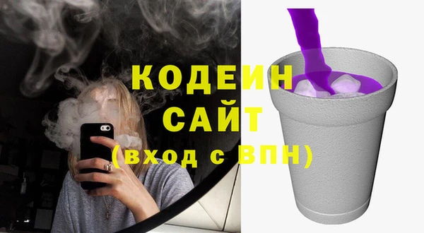 шишки Богородск