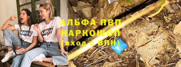 дмт Зерноград