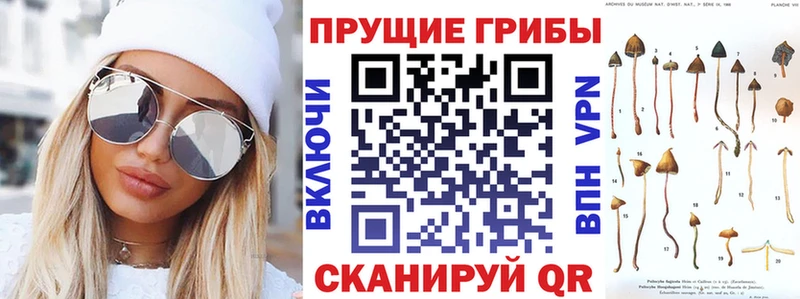 Купить  Нытва  Псилоцибиновые грибы GOLDEN TEACHER 